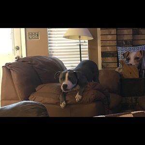 Meet your Posher, Alicia